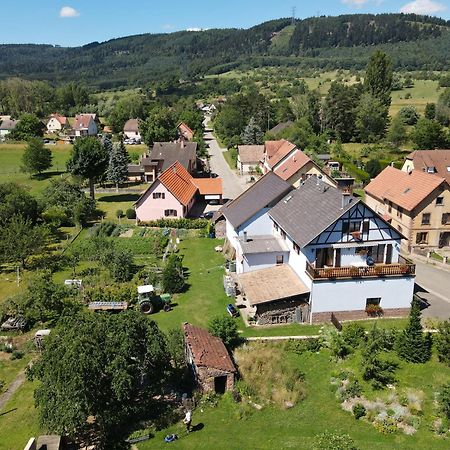 Le Nid De Cigognes Hotel Hengwiller Exterior foto