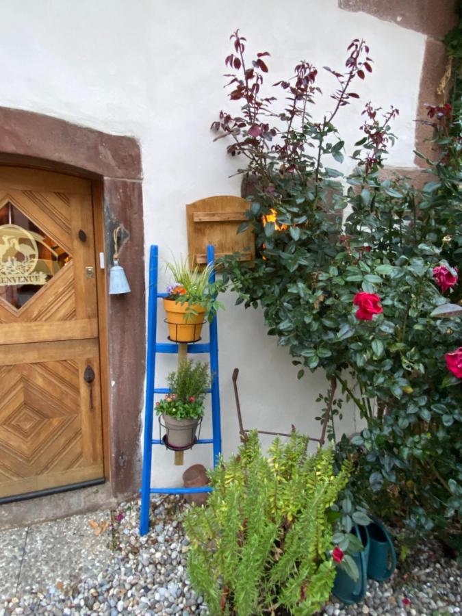 Le Nid De Cigognes Hotel Hengwiller Exterior foto
