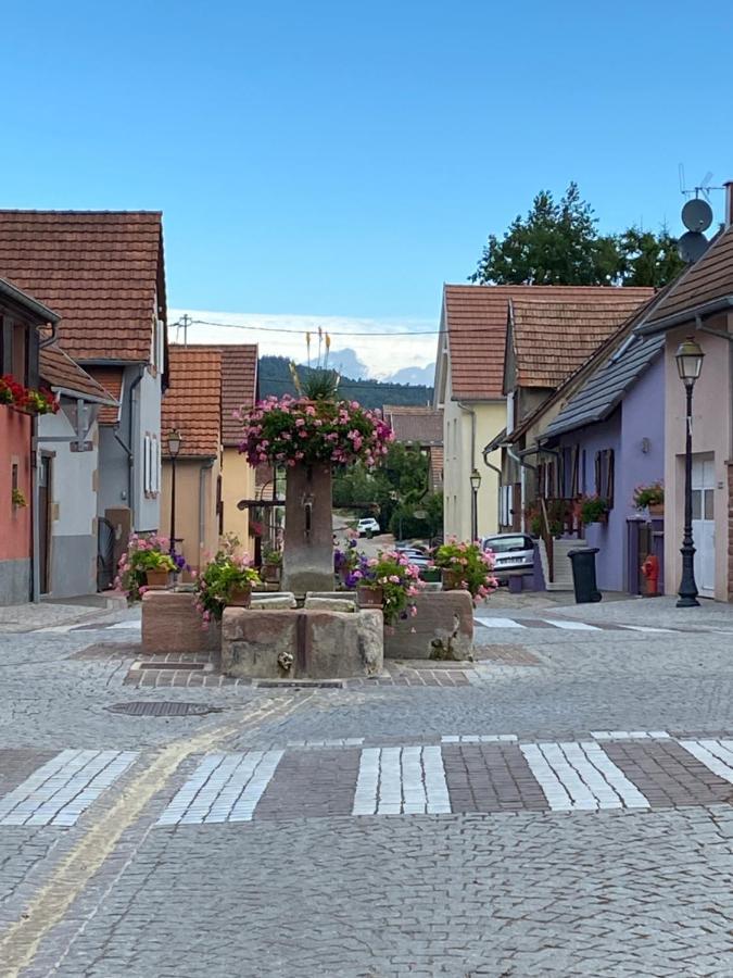 Le Nid De Cigognes Hotel Hengwiller Exterior foto