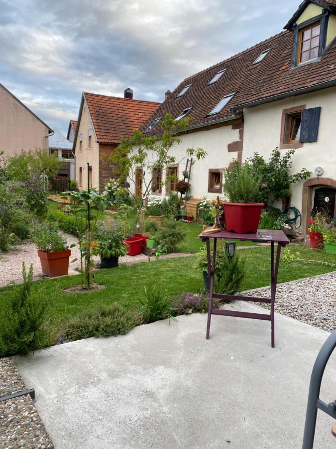 Le Nid De Cigognes Hotel Hengwiller Exterior foto