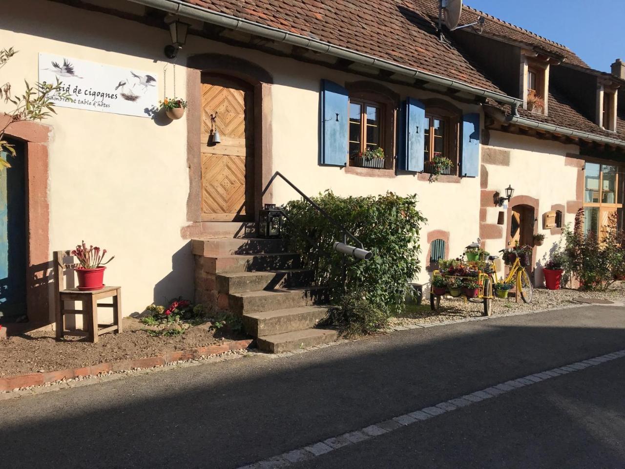 Le Nid De Cigognes Hotel Hengwiller Exterior foto