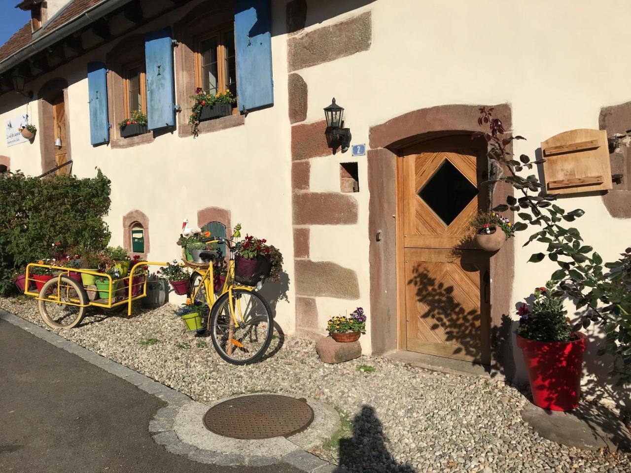 Le Nid De Cigognes Hotel Hengwiller Exterior foto